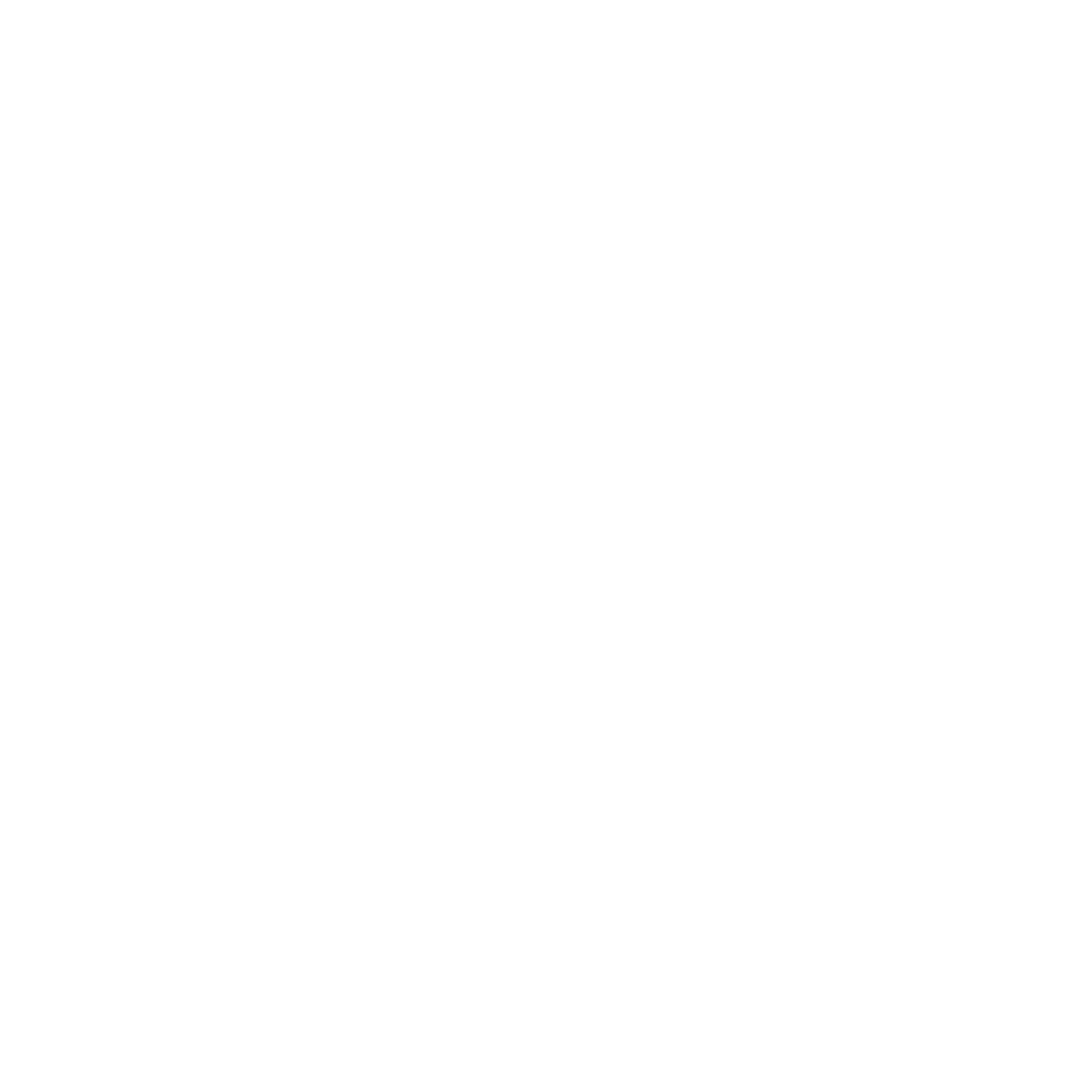 Diego Mondragon Logo